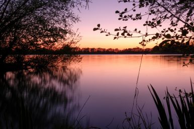 Sonnenuntergang am Bentfelder See | Simon Kruse